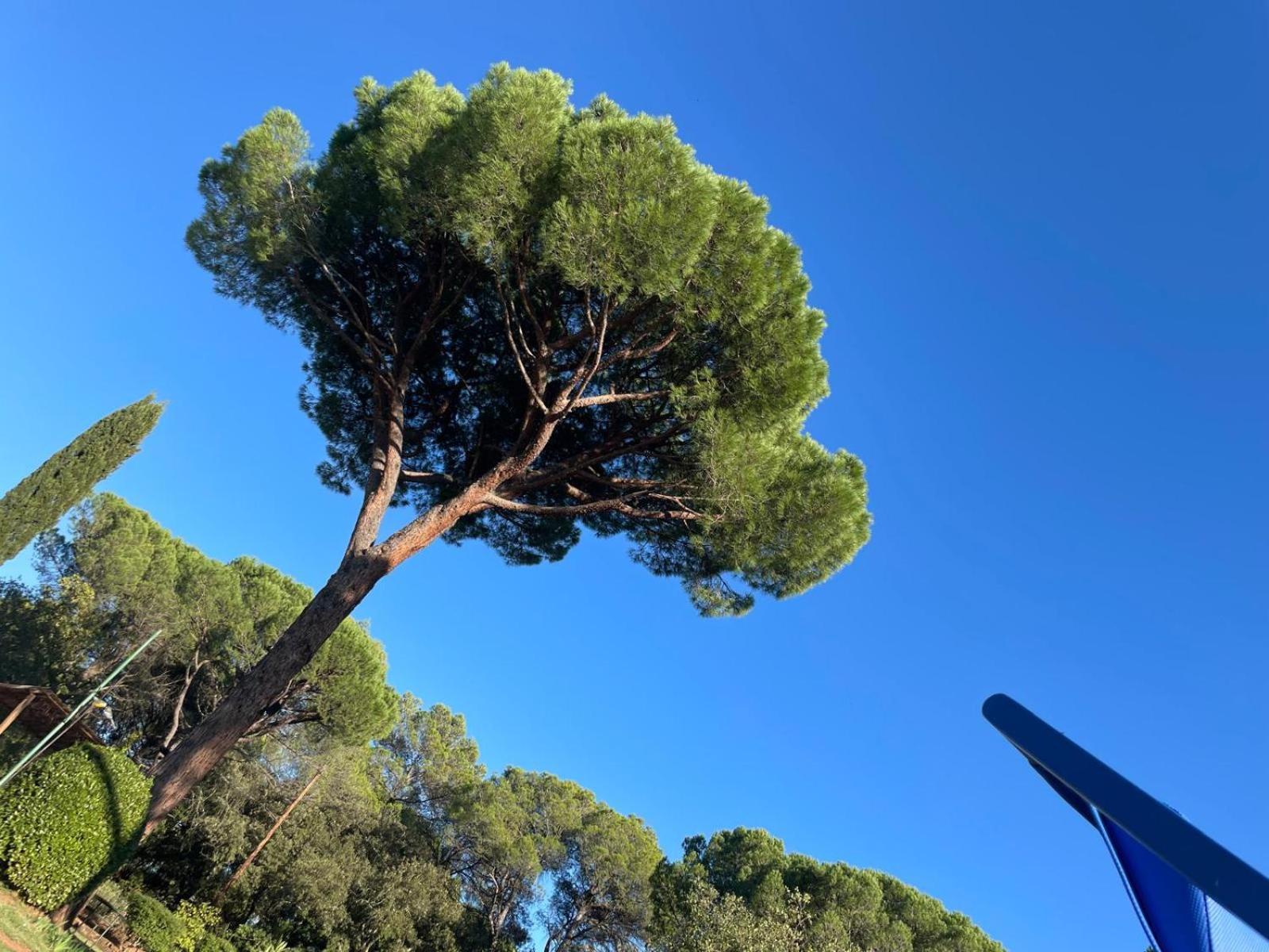 Résidence Gabrielle Le Cannet-des-Maures Esterno foto